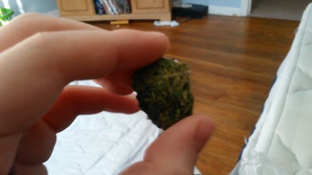 Hawaiian Haze review смотреть онлайн