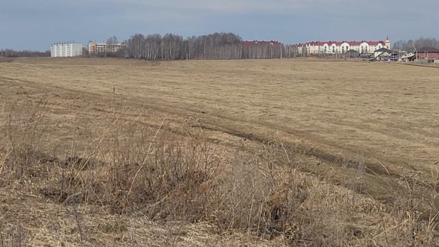 09-04-2025 смотреть онлайн