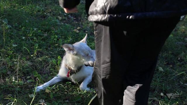 Фильм о большой любви. Хан, мы тебя помним. смотреть онлайн