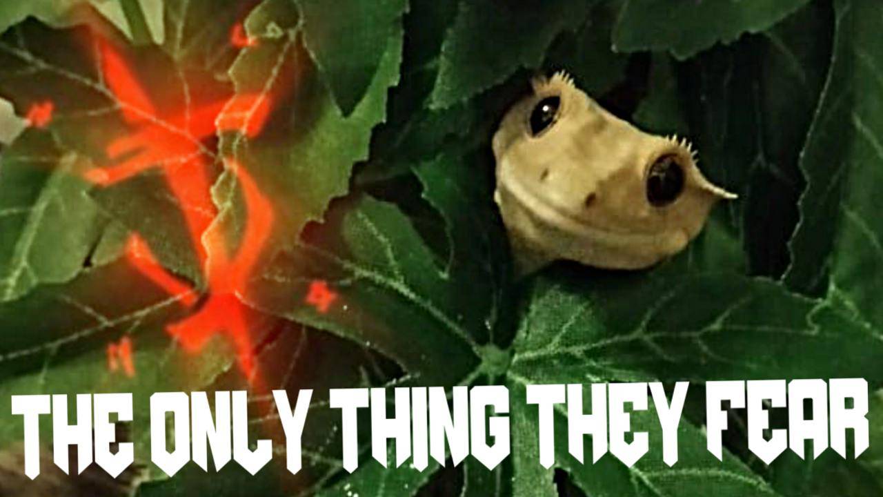 Crickets Slayer. The Only Thing They(Crickets) Fear Is Him(gecko)