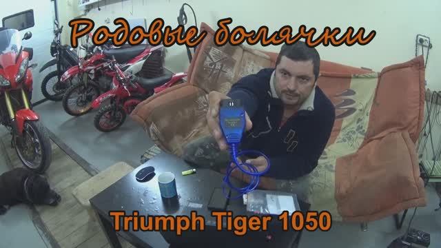 Родовые болячки и особенности Triumph Tiger 1050 смотреть онлайн