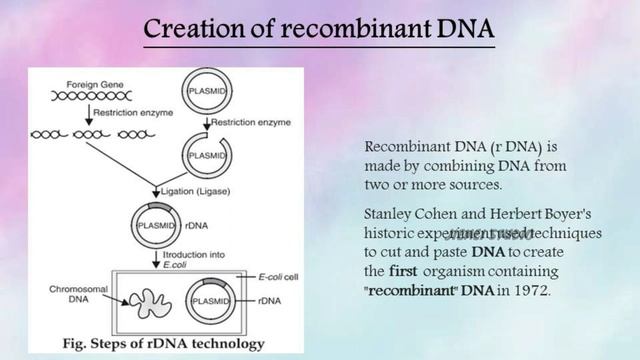 Biotechnology | Introduction | Plus two Botany | Explained смотреть онлайн