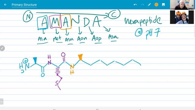 CH4 Drawing Polypeptides смотреть онлайн