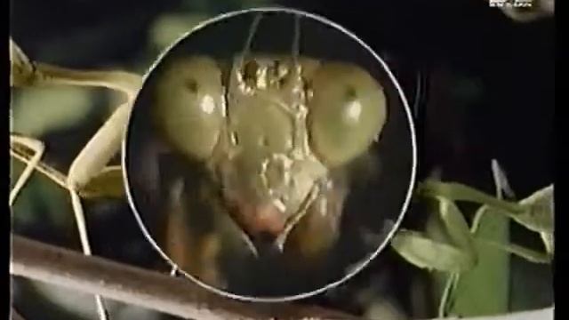 Fila shoes Commercial 1995 смотреть онлайн