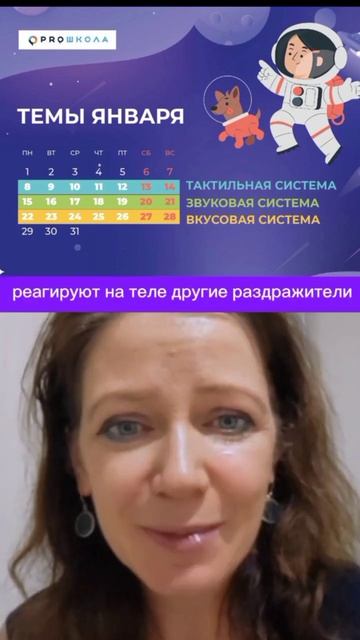 Тактильная система со Светой Ревич смотреть онлайн