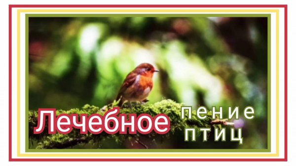 Лечебное пение птиц.