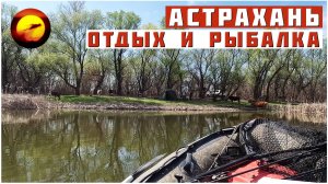 ОТЕЦ Приехал на Сазана, НО ЛОВИТСЯ ВОБЛА / Астрахань! Рыбалка и Отдых