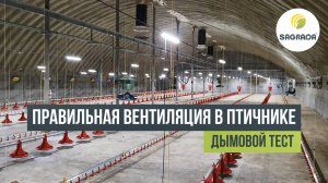 Правильная вентиляция в птичнике. Дымовой тест на бройлерной птицефабрике | Оборудование SAGRADA