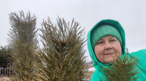 ГУЛЯЮ НА БЕРЕГУ ПРОТОКИ. ЯБЛОНИ У НАС ВЫМЕРЗАЮТ.