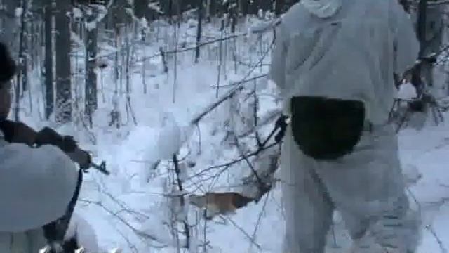 Охота на медведя смотреть онлайн