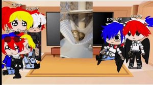 реакция стран на питомцев России