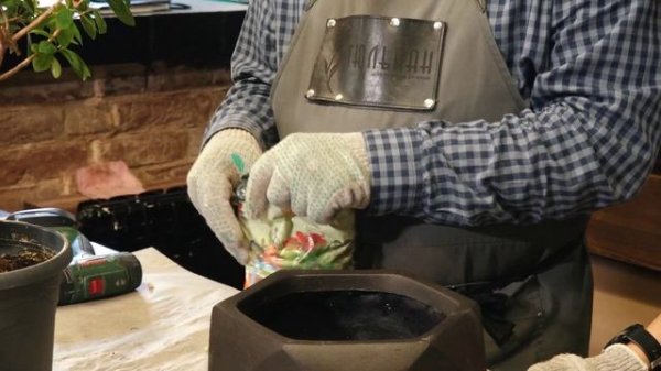 Флористика