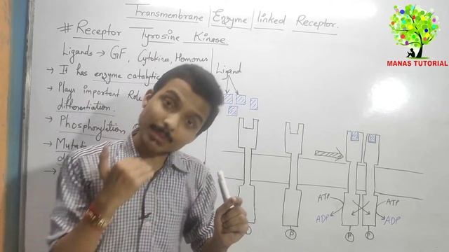 Transmembrane Enzyme Linked Receptor|Receptor Tyrosine kinase| Manas Mishra смотреть онлайн