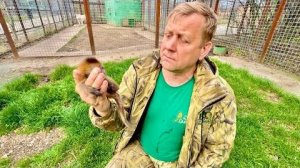 Олегу Зубкову пришлось спасать маленького Финика, ведь мама с папой ЖЕСТОКО обошлись с ним…