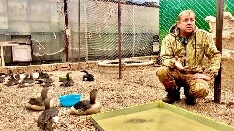 Вести РОССИИ снимают об Олеге Зубкове и спасении птиц в Крыму документальный фильм!!! смотреть онлайн