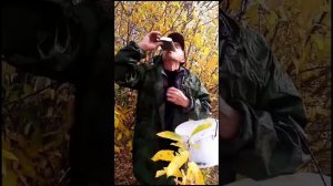 Ах дымок,дымок...Сибирь,лес...