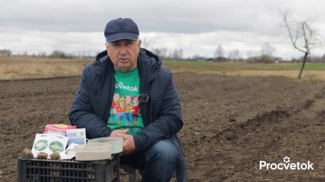 КОВАРНАЯ ОШИБКА ПРИ ПОСЕВЕ КАПУСТЫ, из-за которой она болеет и ее едят вредители! смотреть онлайн