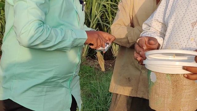Dr. Pandurang Mohite (Dept. of Entomology) Guides on White Grub Control Pheromone Trap | Humani смотреть онлайн