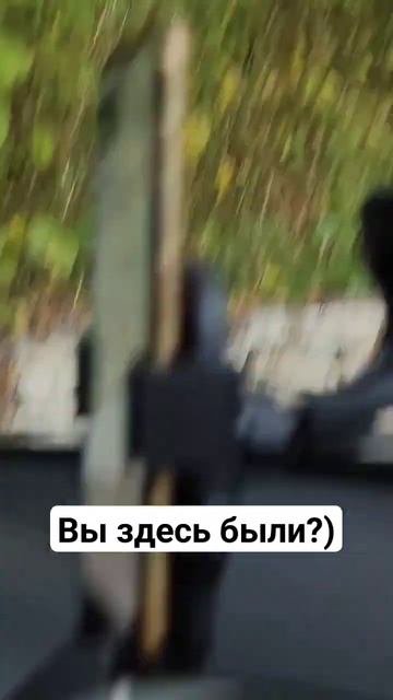 Вы здесь были?) #блогер #путешествие #сочи #животные #кот смотреть онлайн