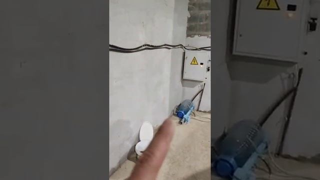 УЗВ на 4 тонны осетровых смотреть онлайн