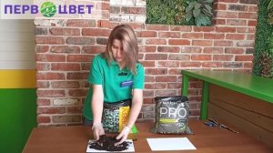 Сравнение грунтов фирмы Питер Пит