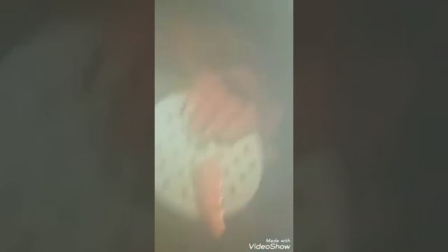 "Тушеные овощи" смотреть онлайн