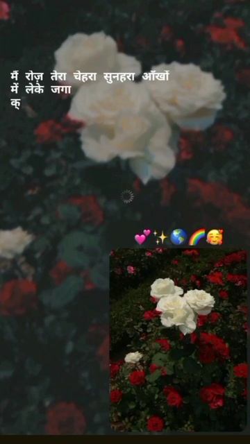 tu mila to haina 4k 🥰🌎😍 #flowers #short #vairal смотреть онлайн