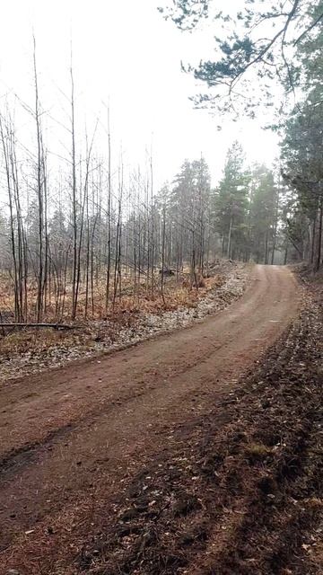 Весенний дождь смотреть онлайн