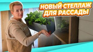НАЙТИ МЕСТО ДЛЯ РАССАДЫ на лестнице | ОБУСТРОЙСТВО СТЕЛЛАЖ ДЛЯ РАССАДЫ