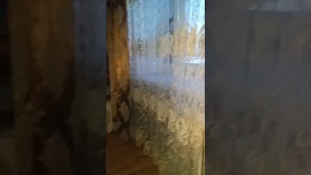 Кот Шустрик открывает окно. смотреть онлайн
