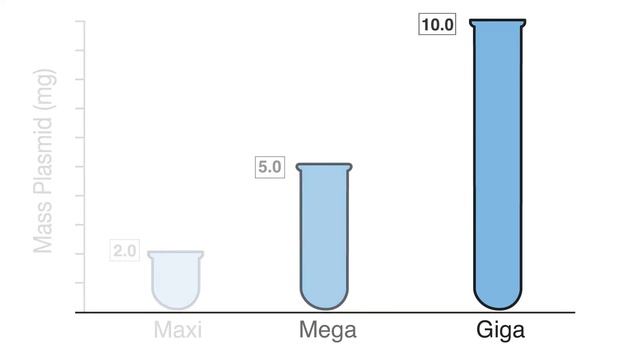 How to do automated Maxiprep, Megaprep & Gigaprep plasmid purification with PhyNexus AutoPlasmid MM смотреть онлайн