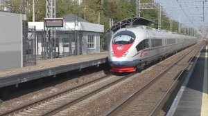 Электропоезд ЭВС1-15 "Сапсан" (ТЧ-10) высокоскоростной поезд №751А Санкт-Петербург - Москва.