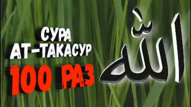 Сура Ат-Такасур 100 раз смотреть онлайн