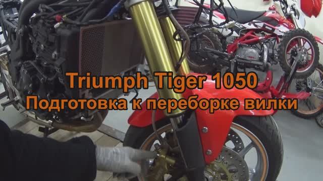 Triumph Tiger 1050. Подготовка к переборке вилки смотреть онлайн