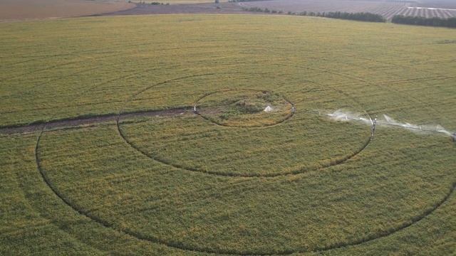 ПервоК. соя -13 смотреть онлайн