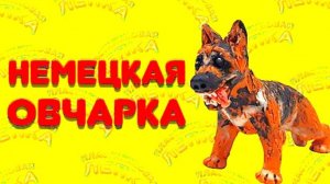 Как Слепить Немецкую Овчарку из Пластилина