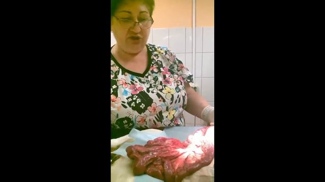 подтверждение отравления английского бульдога при вскрытии. смотреть онлайн