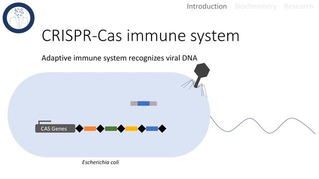CRISPR Cas9 - The 