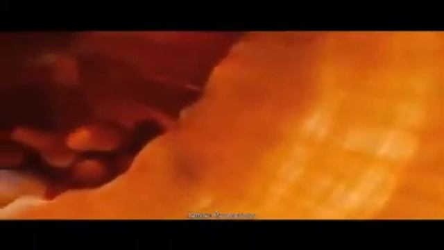 Nature Productions смотреть онлайн