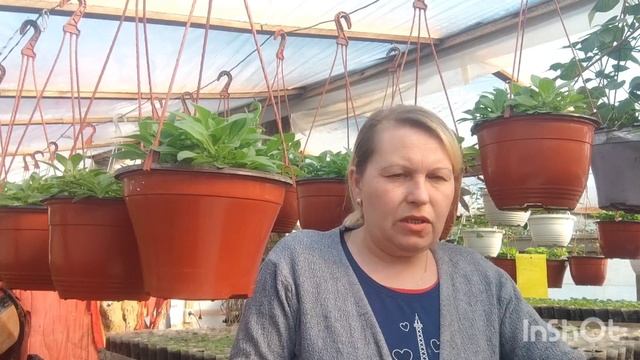 8 марта отстояли... 🤣. итоги, обзор. смотреть онлайн