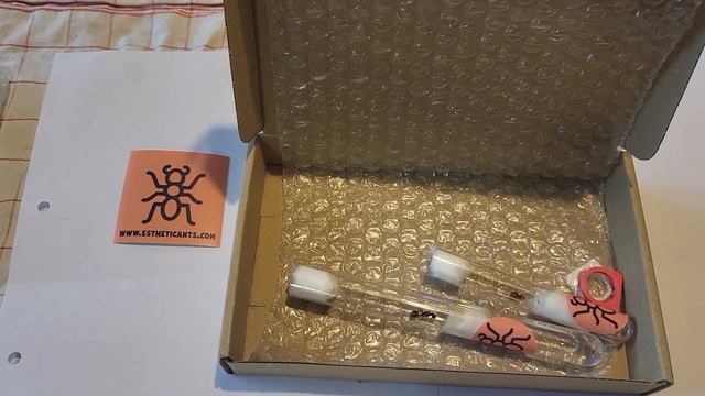 Unboxing and Review of new ant queens from @EstheticAnts !! Camponotus and Prenolepsis . смотреть онлайн