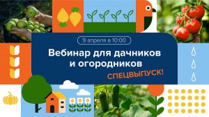 Вебинар для дачников и огородников. СПЕЦВЫПУСК!