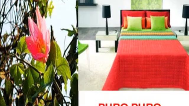 Qamak Peru El Color de la Flora y Fauna Andina смотреть онлайн