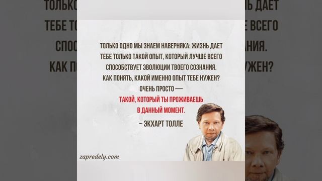 Антиреспект,ARhip,Истов,Мафик - Живой смотреть онлайн