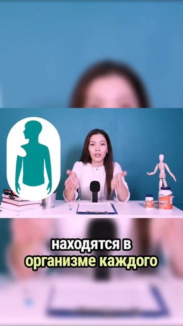 Митохондрии - это органеллы , которые… смотреть онлайн