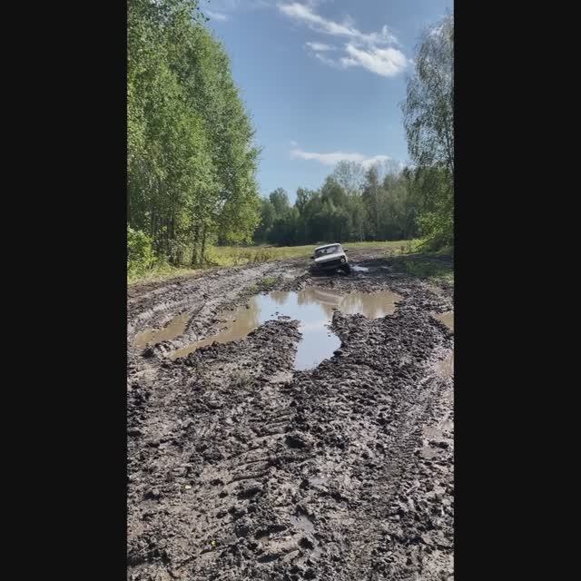 Выезд за грибами 2024! #Ниваможет #offroad #тихаяохота #грибы