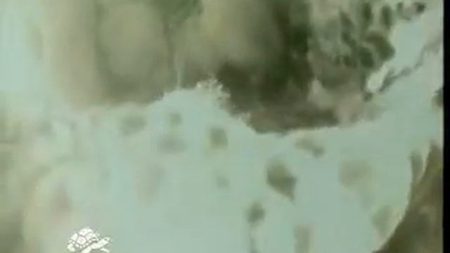 Pullus di Faclo Gheppio смотреть онлайн