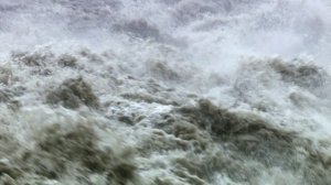 История жизни на Земле 3 серия «Восстание гигантов» (документальный сериал, 2021)