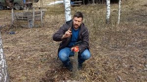 Прививка за кору: пара нужных советов