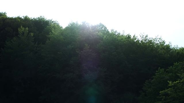 Giolì & Assia - DiesisLive @The Forest Sundown, Nebrodi Park